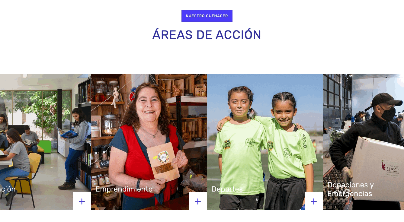 Fundación Luksic
